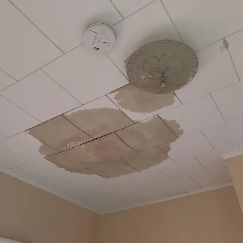 Ceiling Water Damage Repair in Bellaire, OH