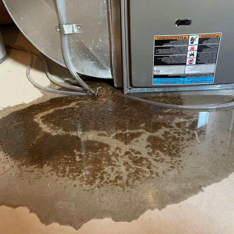 Pipe Burst and Leak Restoration in Bellaire, OH