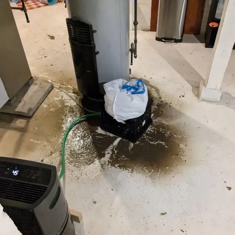 Sewage Backup Cleanup Service in Bellaire, OH